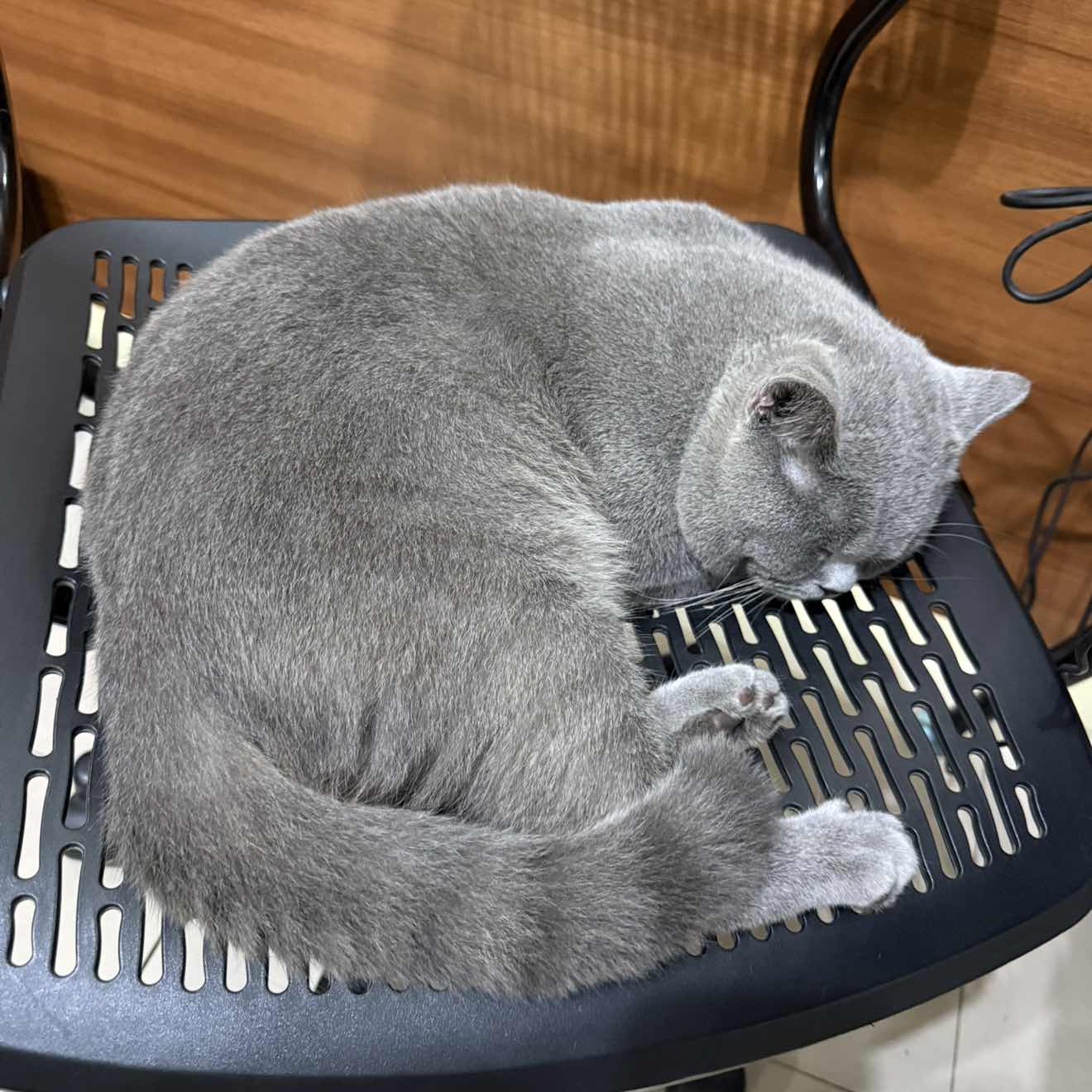 goodnovel comment avatar