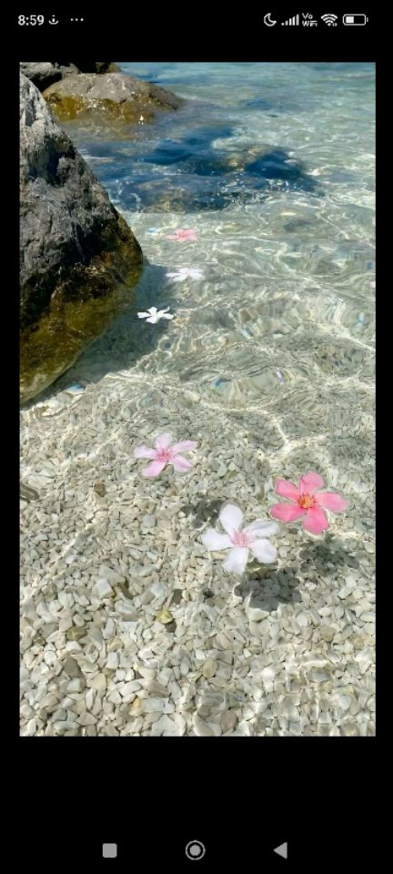 goodnovel comment avatar