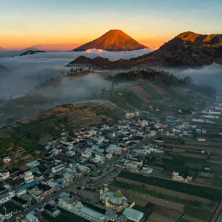 goodnovel comment avatar