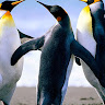 goodnovel comment avatar