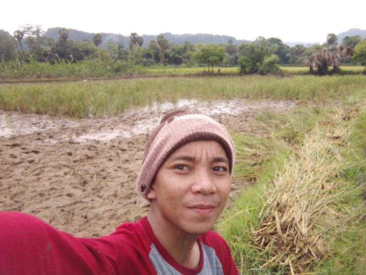 goodnovel comment avatar