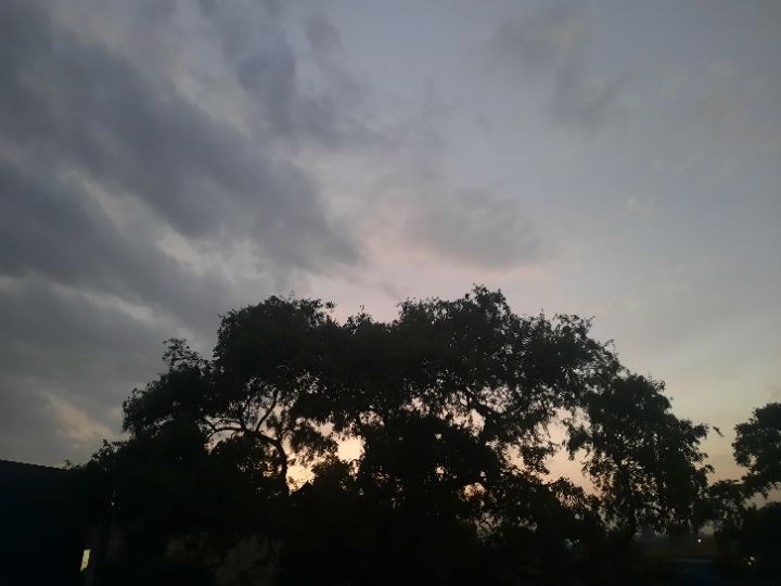 goodnovel comment avatar