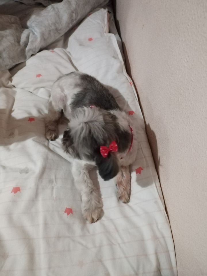 goodnovel comment avatar