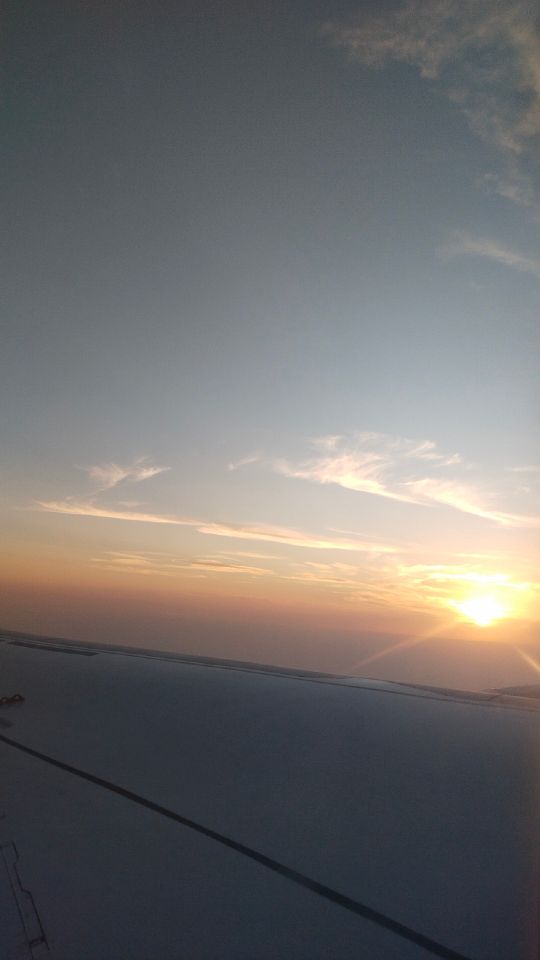 goodnovel comment avatar