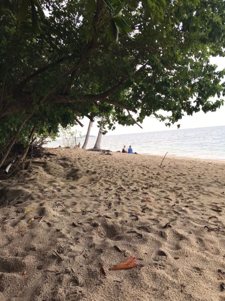 goodnovel comment avatar