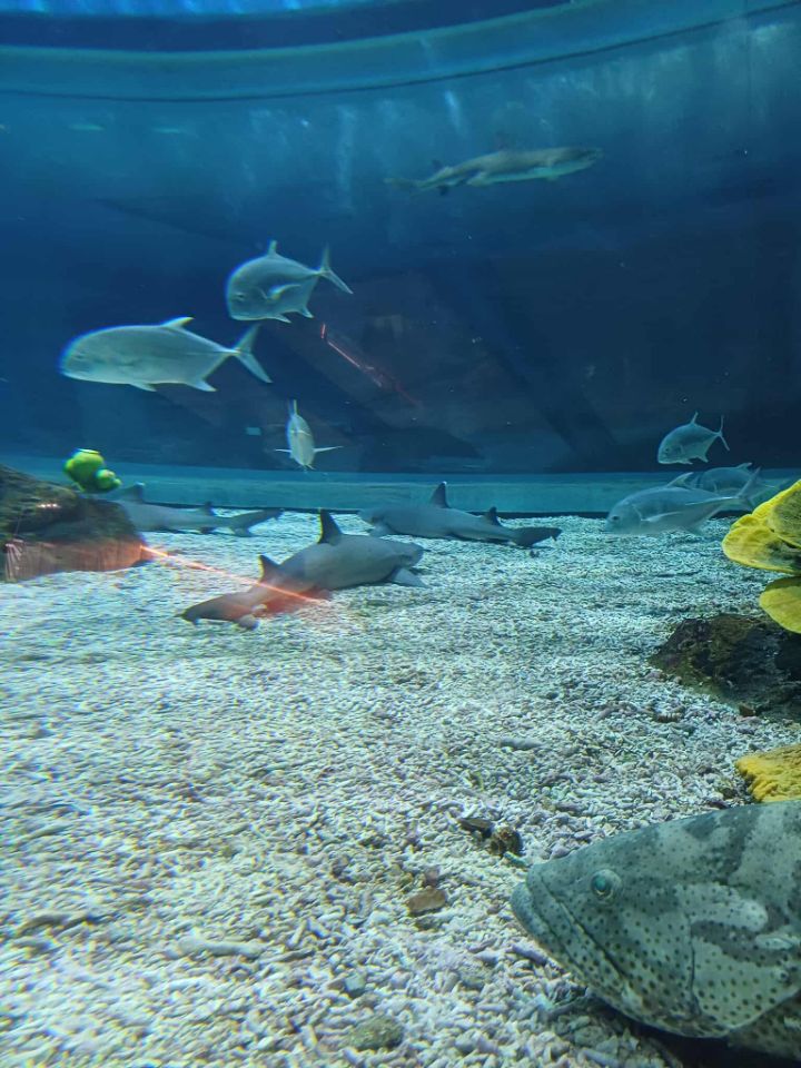 goodnovel comment avatar