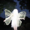 goodnovel comment avatar