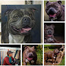 goodnovel comment avatar