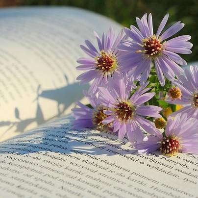 เดซี่น้อย