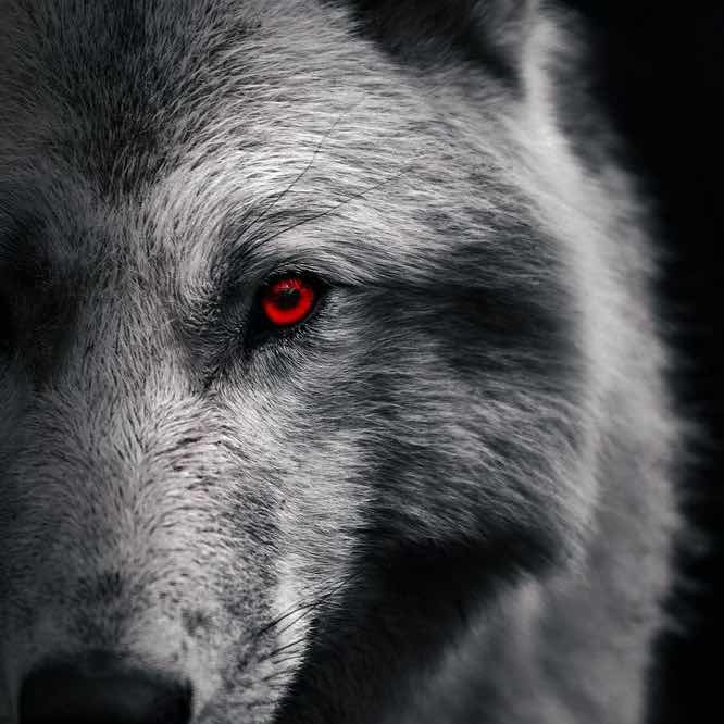 goodnovel comment avatar