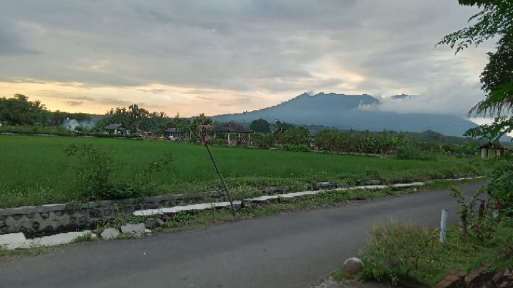 goodnovel comment avatar