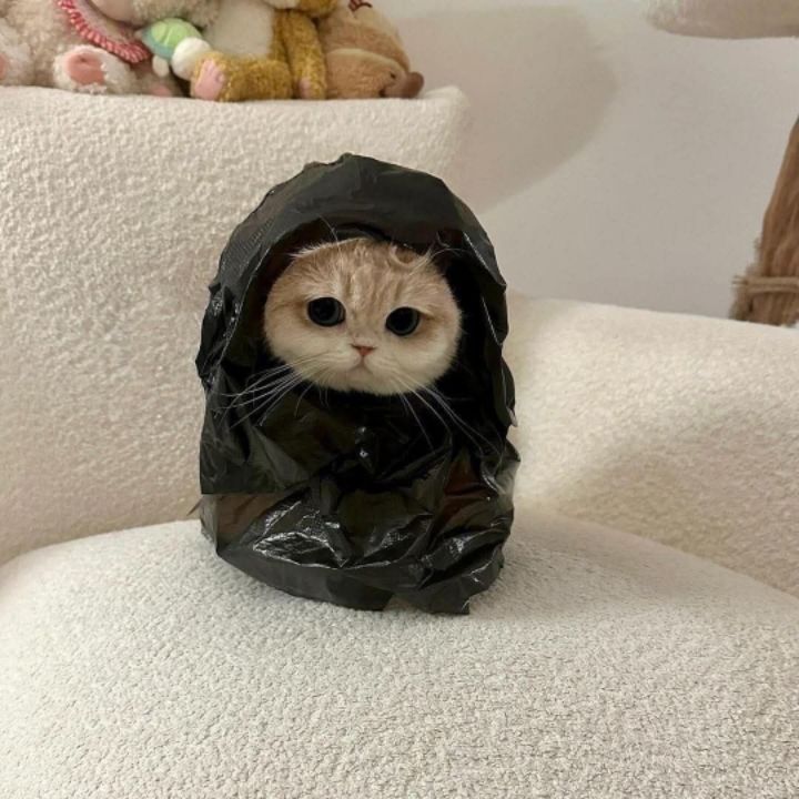 goodnovel comment avatar