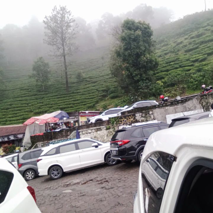 goodnovel comment avatar