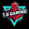 TS GAMING