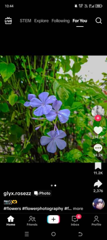 goodnovel comment avatar