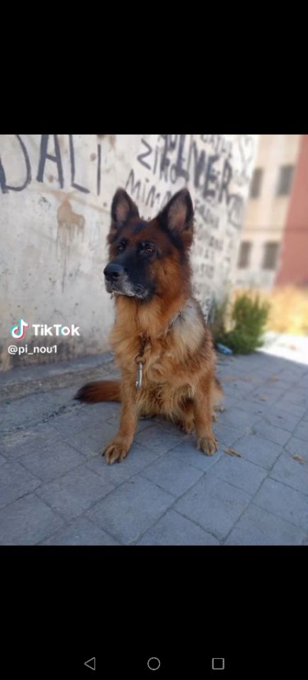 goodnovel comment avatar