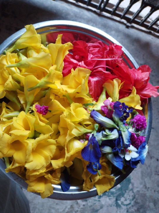 goodnovel comment avatar