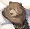 Moru