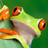 goodnovel comment avatar