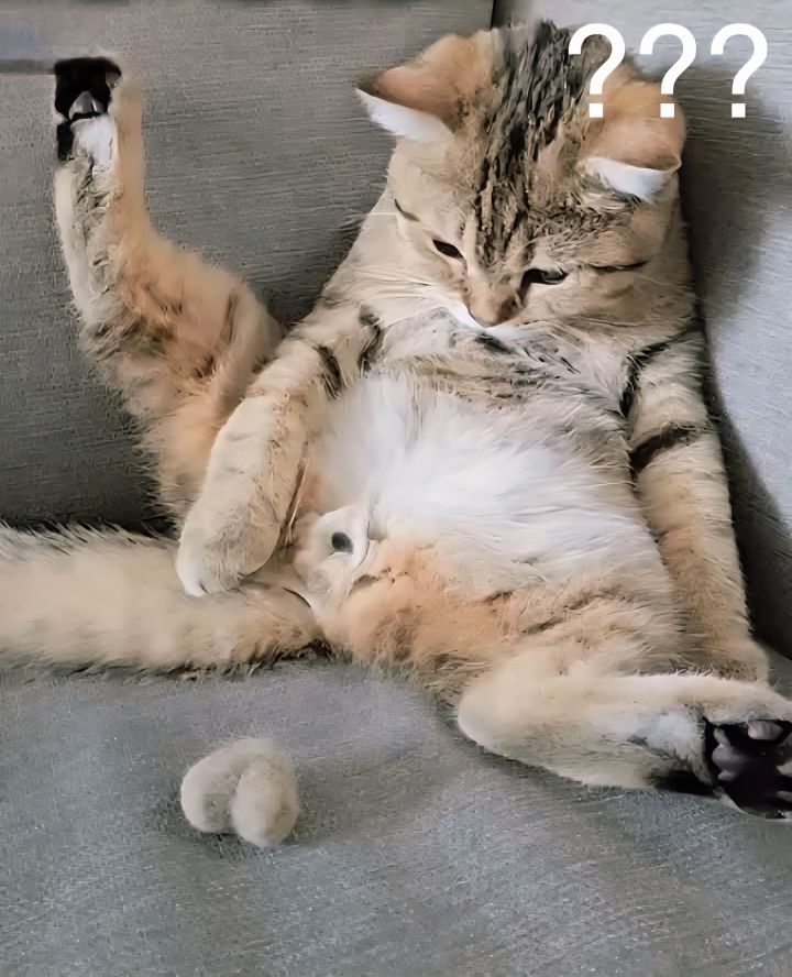 goodnovel comment avatar