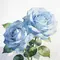 Rose Solace