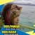 goodnovel comment avatar