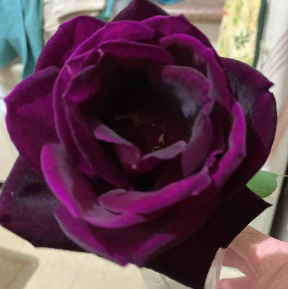 goodnovel comment avatar