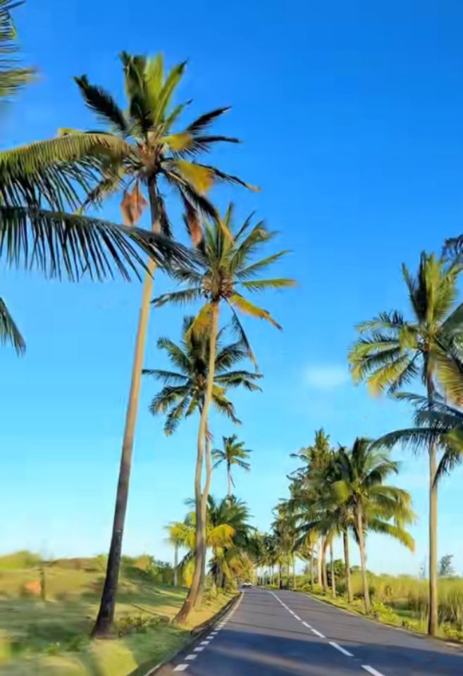 goodnovel comment avatar