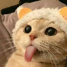 goodnovel comment avatar