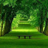 goodnovel comment avatar