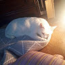 goodnovel comment avatar