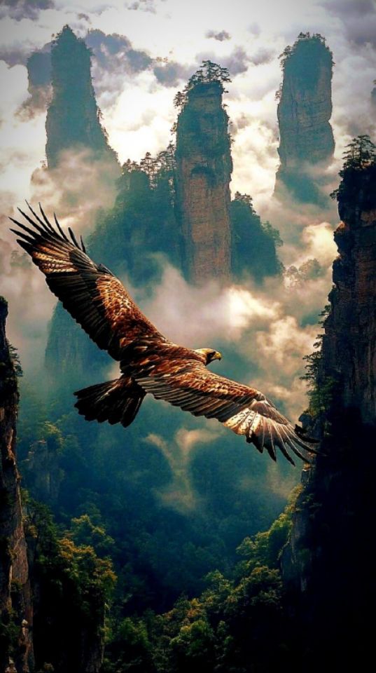 goodnovel comment avatar