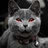 goodnovel comment avatar