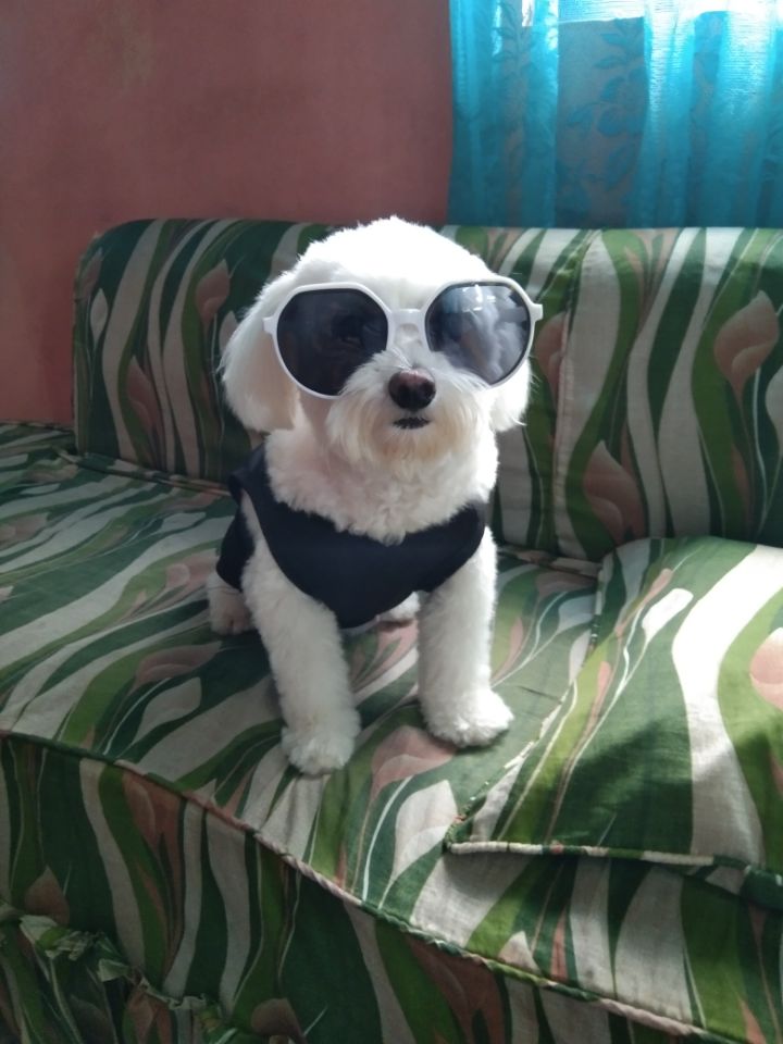 goodnovel comment avatar