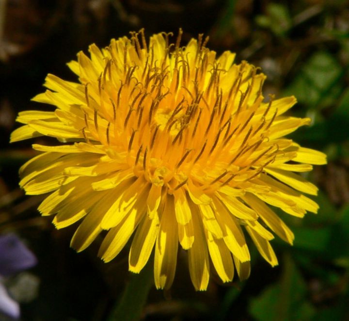 goodnovel comment avatar