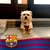 goodnovel comment avatar