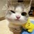 goodnovel comment avatar