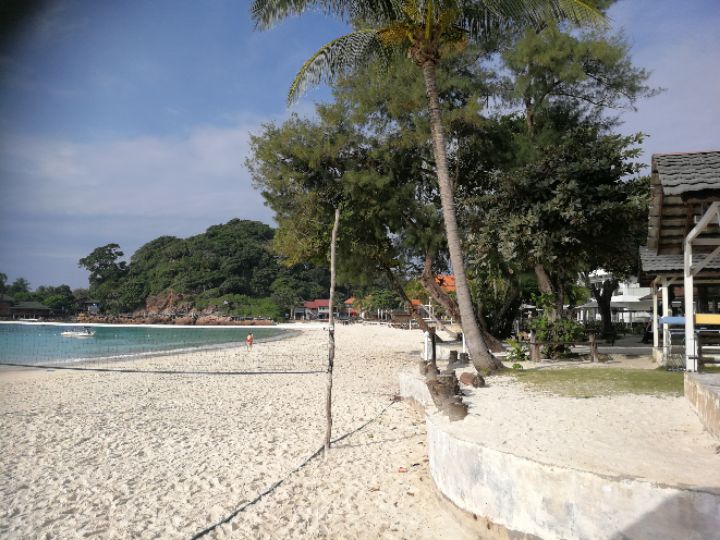 goodnovel comment avatar