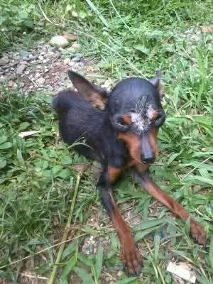 goodnovel comment avatar