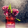 goodnovel comment avatar