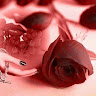 goodnovel comment avatar