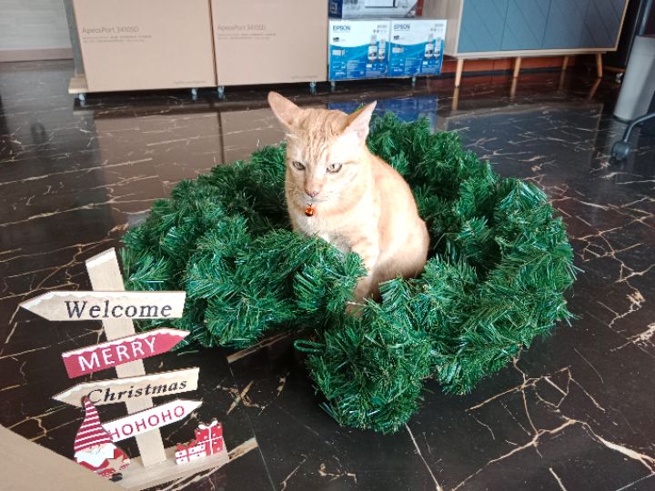 goodnovel comment avatar