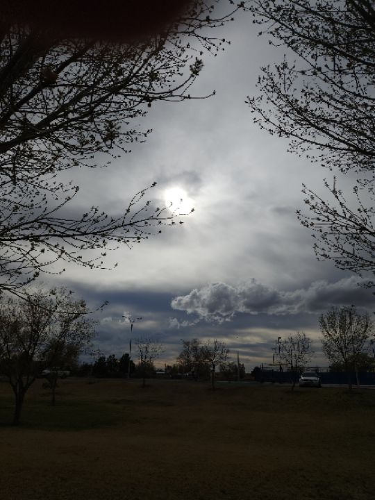 goodnovel comment avatar