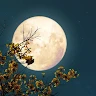 goodnovel comment avatar