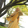 goodnovel comment avatar
