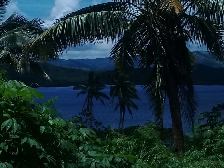 goodnovel comment avatar