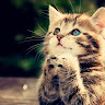 goodnovel comment avatar