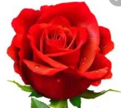 goodnovel comment avatar