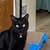 goodnovel comment avatar