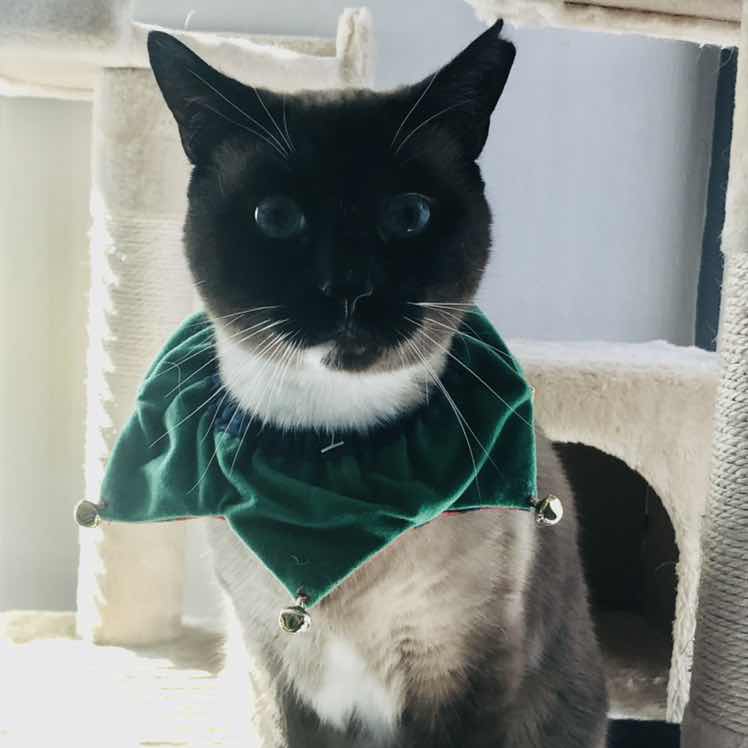 goodnovel comment avatar